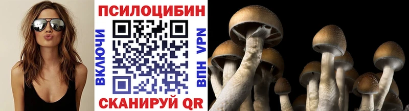 Галлюциногенные грибы Psilocybe  даркнет сайт  Учалы 